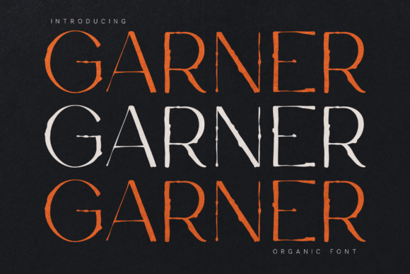 Garner Font Review