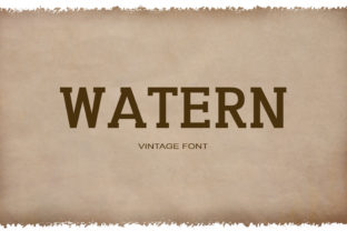 Watern: A Vintage Serif Font for Editorial Design
